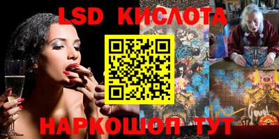 стафф Шебекино