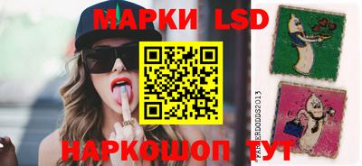 стафф Шебекино