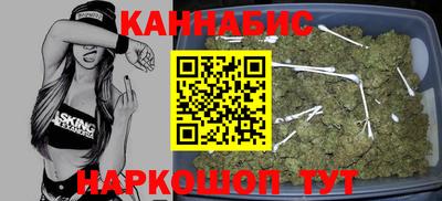 стафф Шебекино