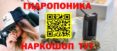 стафф Шебекино
